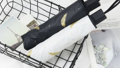 깃털우산 득템 후기✨: 초경량 우산 할인 정보 & 솔직 리뷰!