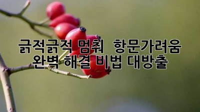 긁적긁적 멈춰! 🚫 항문가려움 완벽 해결 비법 대방출 ✨