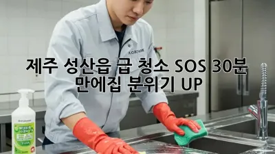 제주 성산읍 급 청소 SOS🚨 30분 만에✨집 분위기 UP!