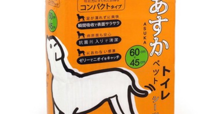 댕댕이 맘 딱! 기분 좋아지는 강아지패드 중형 추천템✨